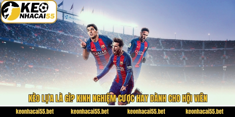 Kèo Lựa Là Gì? Kinh Nghiệm Cược Hay Dành Cho Hội Viên 1 Kèo Lựa Là Gì? Kinh Nghiệm Cược Hay Dành Cho Hội Viên