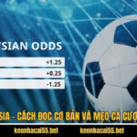 Kèo Malaysia - Cách Đọc Cơ Bản Và Mẹo Cá Cược Từ Cao Thủ 5 Kèo Malaysia - Cách Đọc Cơ Bản Và Mẹo Cá Cược Từ Cao Thủ
